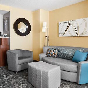 King Studio Suite Sofa Bed